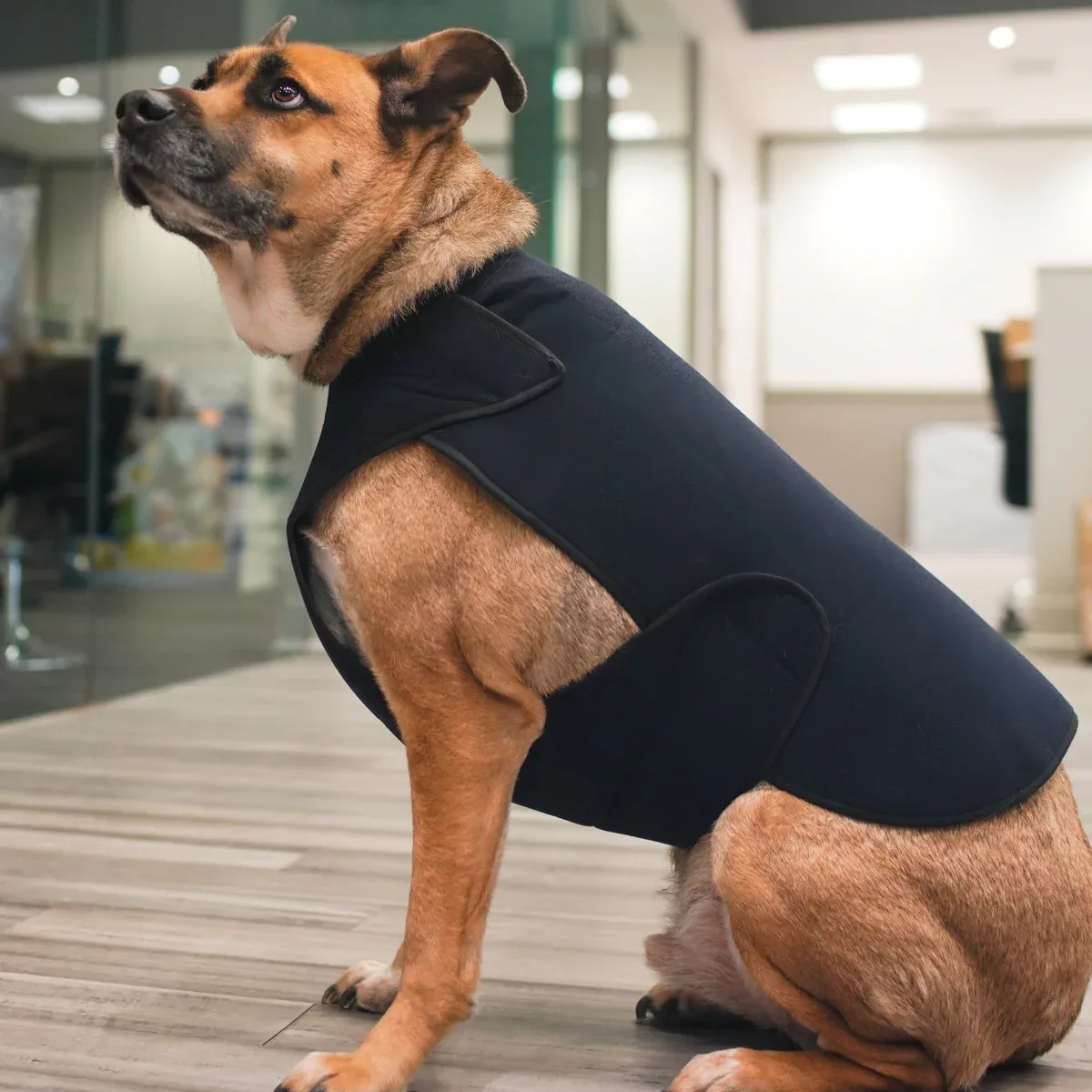 Healers Therapeutic-Anxiety Dog Wrap