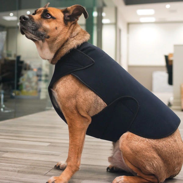 Healers Therapeutic-Anxiety Dog Wrap