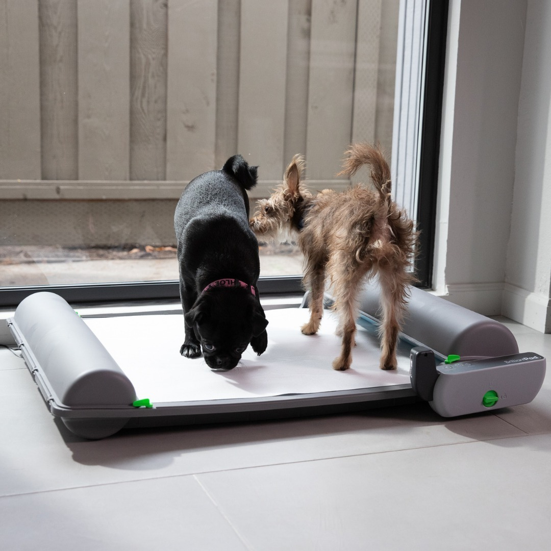 BrilliantPad Smart Dog Potty | Self-Cleaning Pad & Odor Control
