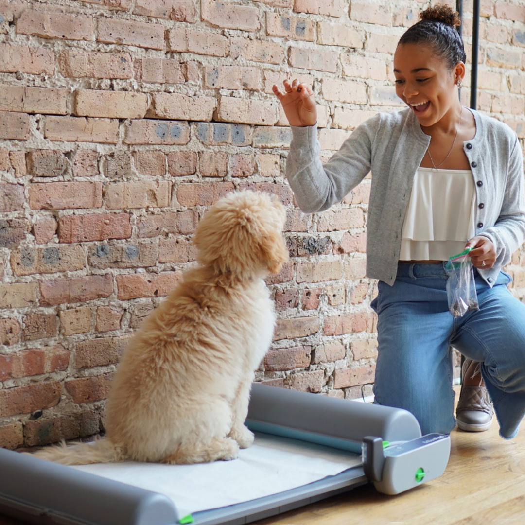 BrilliantPad Smart Dog Potty | Self-Cleaning Pad & Odor Control